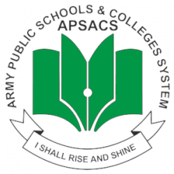  APS School