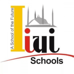 IIUI School